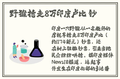 媚娘导航app入口中国有限公司招聘